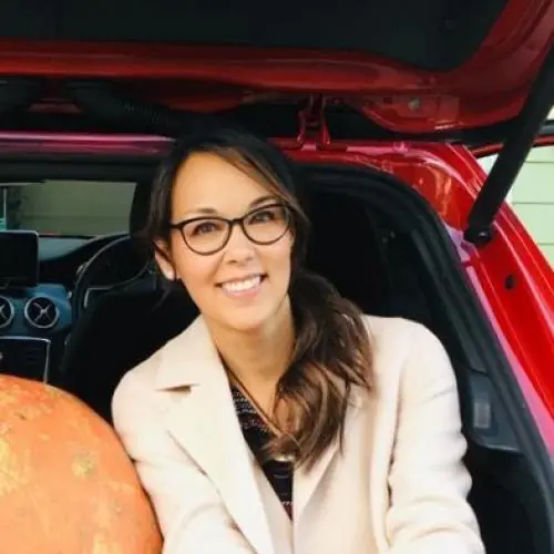 kurbiskuchen image 0